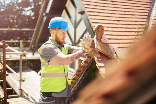Best Gutter Installation and Roofing  in Severna Park, MD